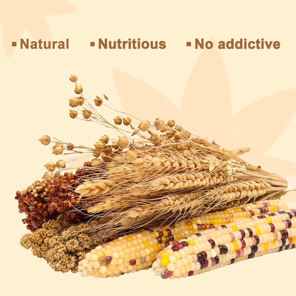 LUVCOSY Sprays Set – yellow millet focus, varied textures for enrichment and foraging
