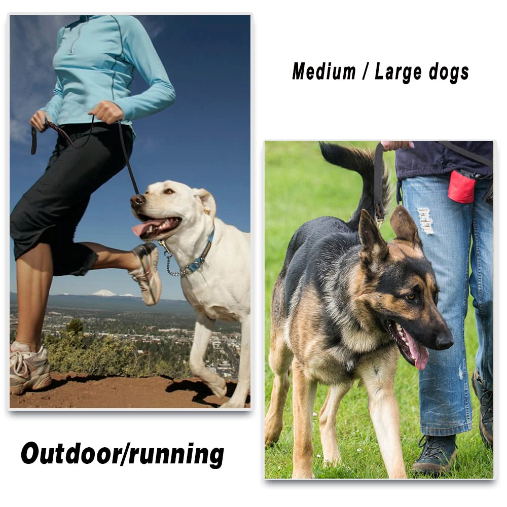 LWBMG leash features a 360° rotating brass hook for secure attachment.