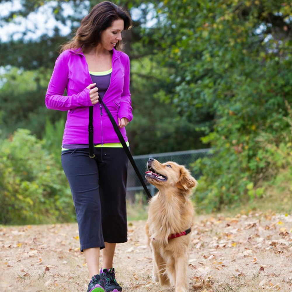 LWBMG braided leash design balances strength with comfortable grip