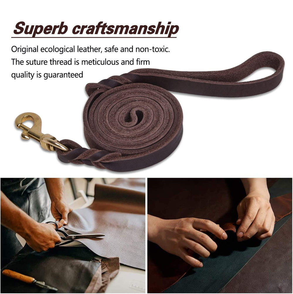 LWBMG daily walking leash designed for reliable everyday use.