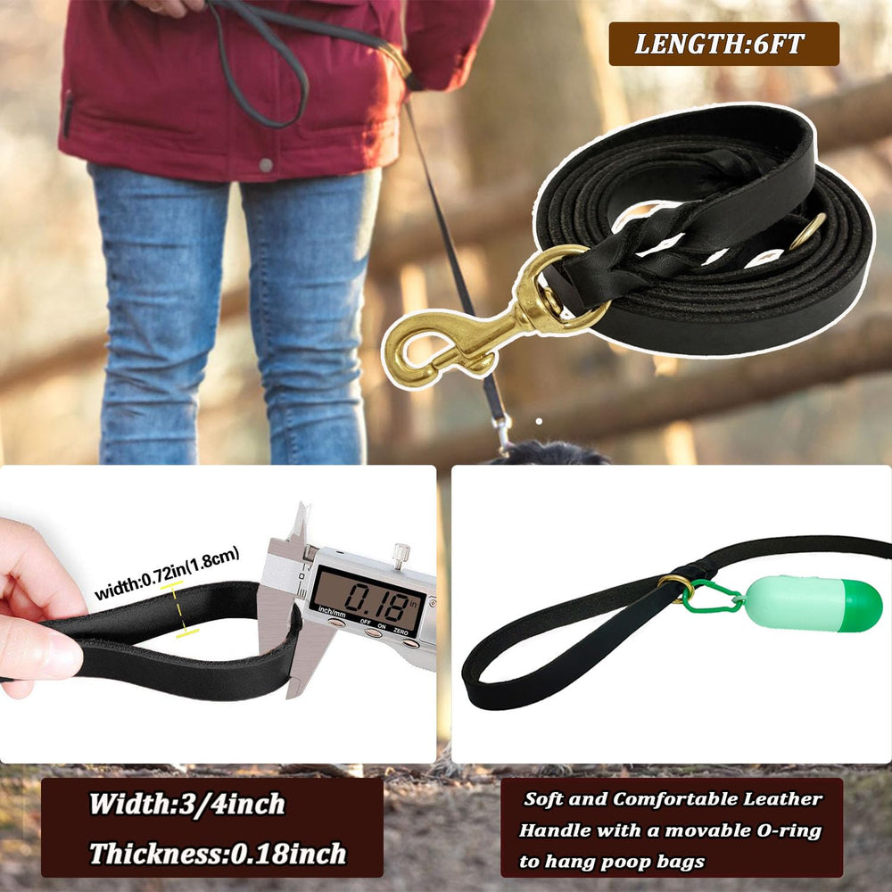 LWBMG 6ft leash provides comfortable length for backyard and street walks
