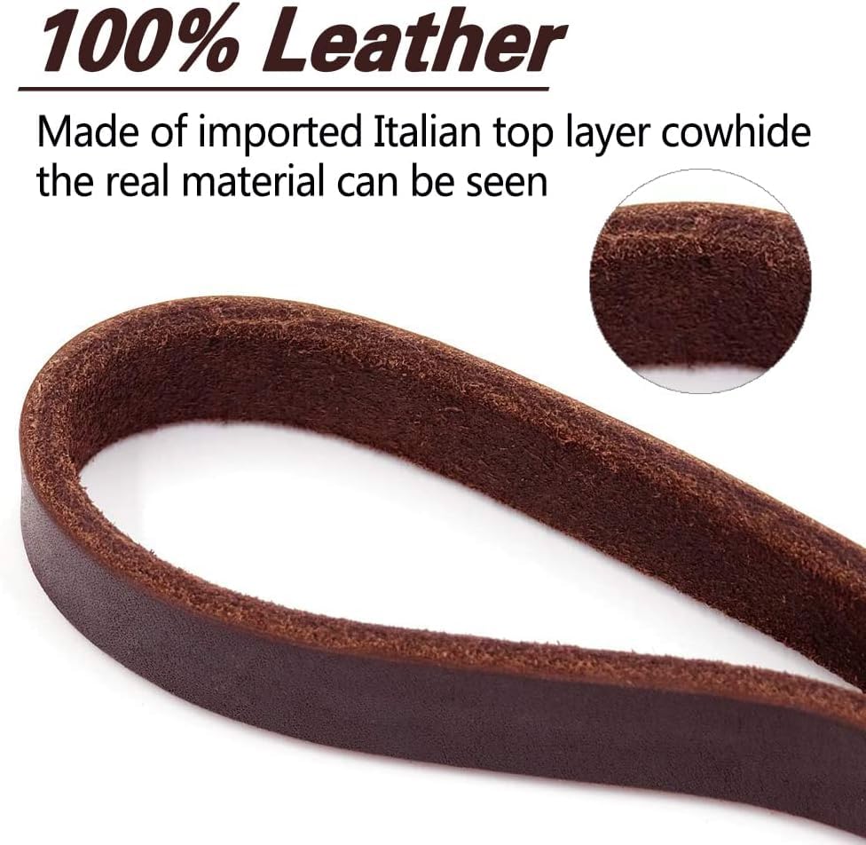 Dog walking in a park with LWBMG leather leash for controlled strolls