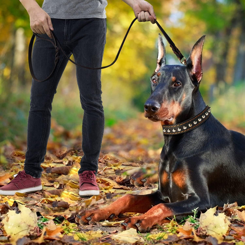 LWBMG leather leash in hand, stylish and practical for everyday wear