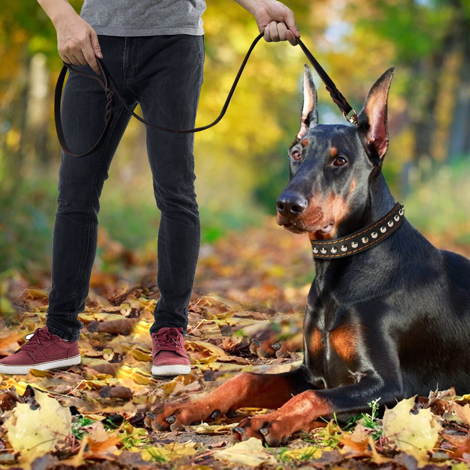 LWBMG leash designed for large dogs with strong durability.