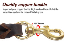 LWBMG 6ft leash length offers better control on busy streets.