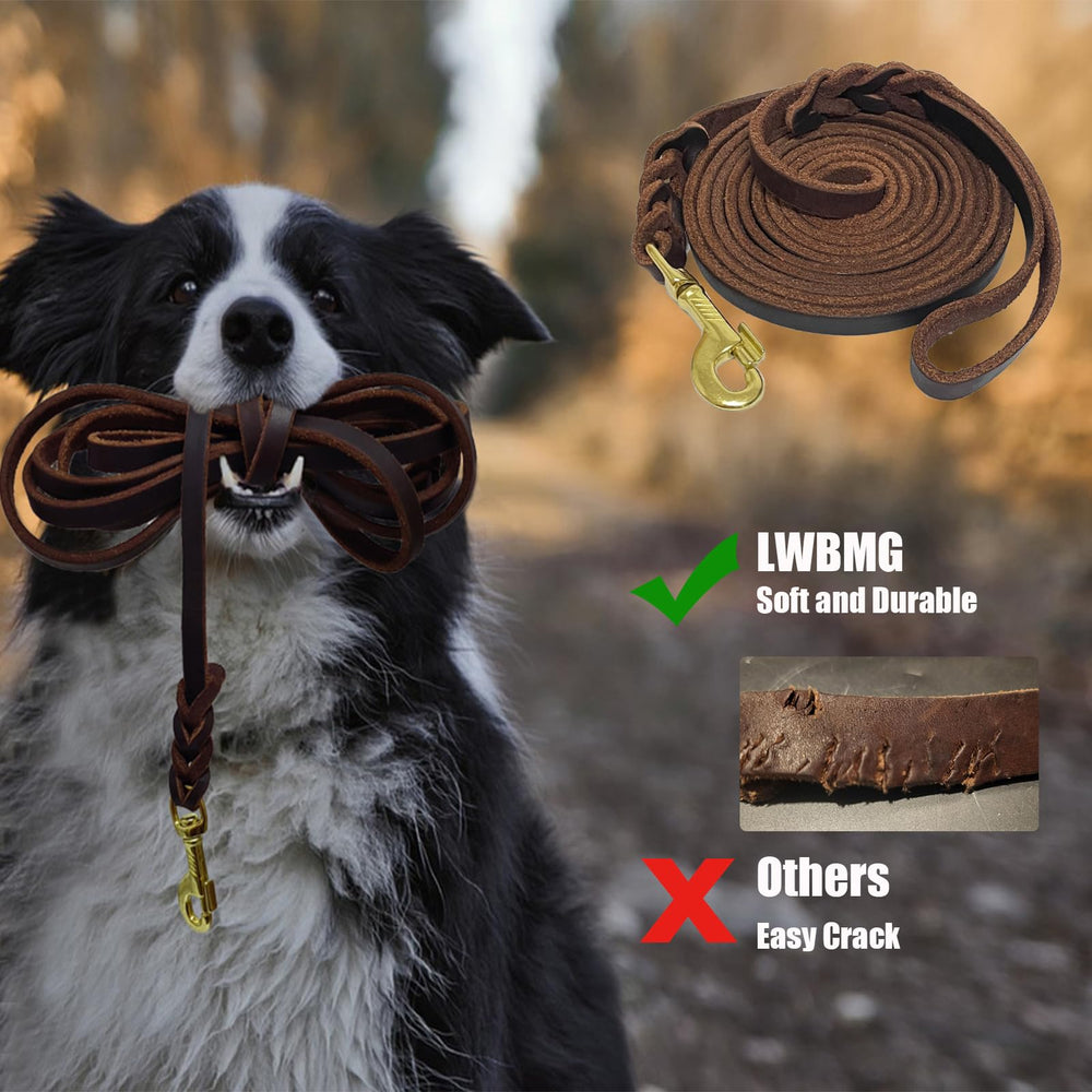 LWBMG soft, comfortable leash provides gentle grip during training