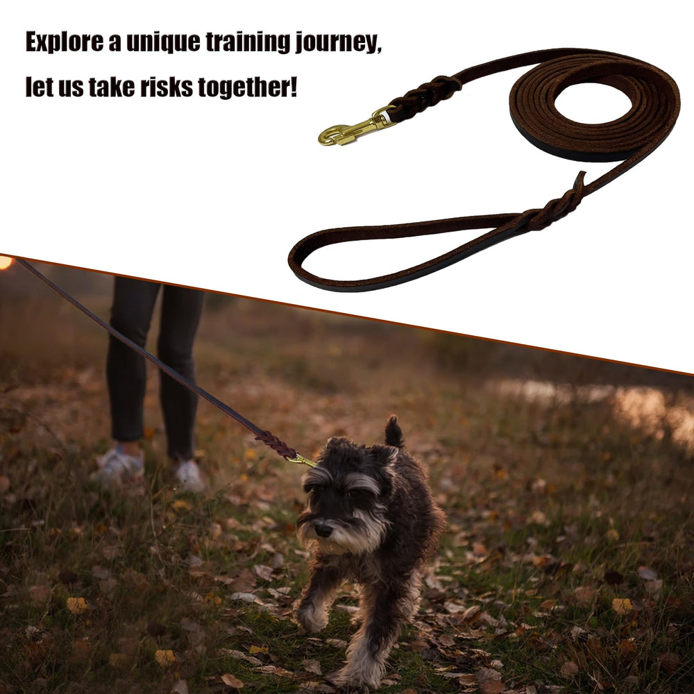 LWBMG training leash ideal for small breeds like Pomeranian and Shih Tzu