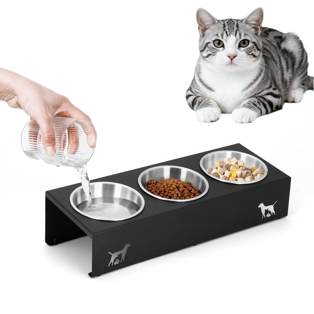 LYCC elevated cat bowls with a 15-degree tilt for comfortable eating.