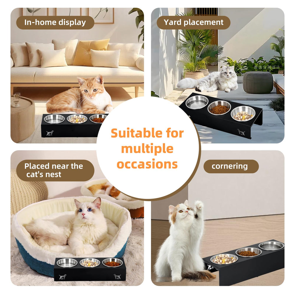 LYCC multi-cat mealtime setup suitable for side-by-side dining.