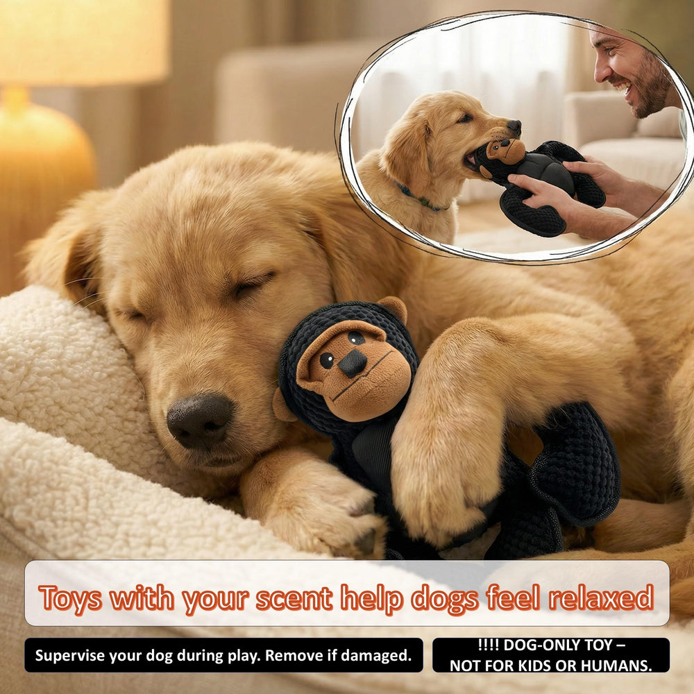 LydaPKS gorilla squeaker inside promotes interactive play and alert chews.