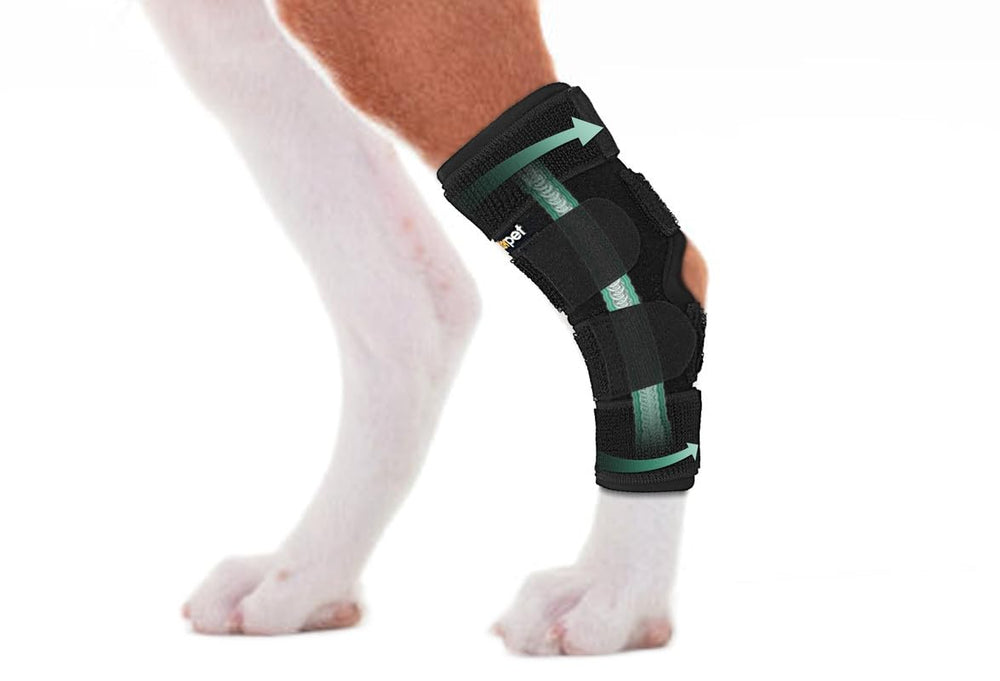 Lyderpet dog leg brace worn on hind leg for secure back-leg support during daily activity.
