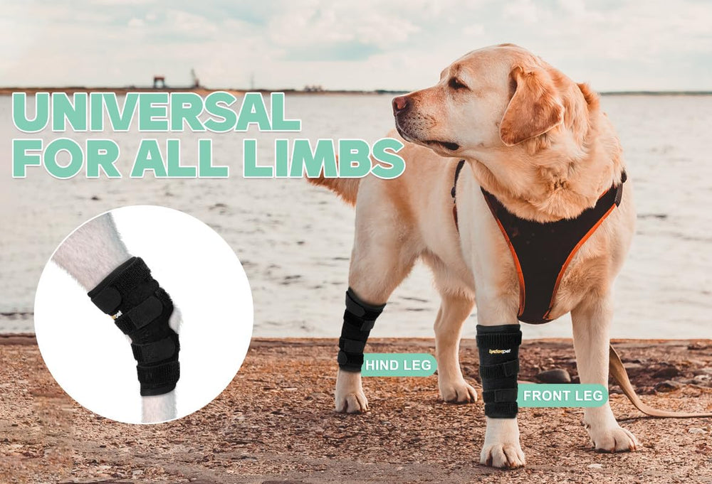 Lyderpet leg brace showing four Velcro straps for a precise fit.