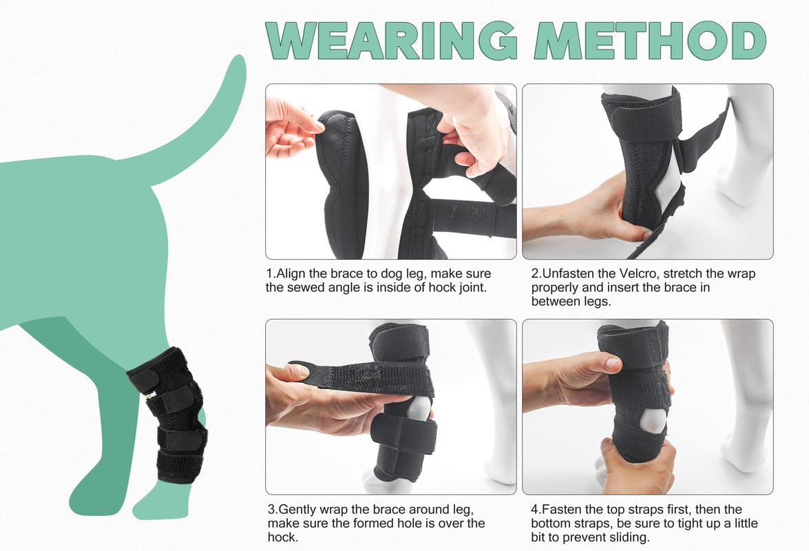 Lyderpet brace with reinforced side springs enhances durability during movement.