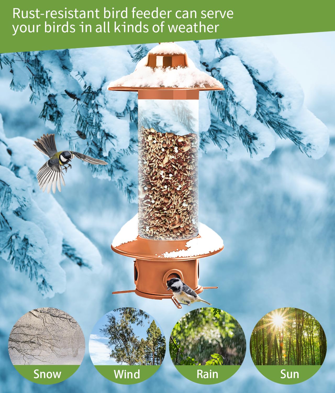 LYKENTOR clear PC container allows quick seed level checks at a glance.