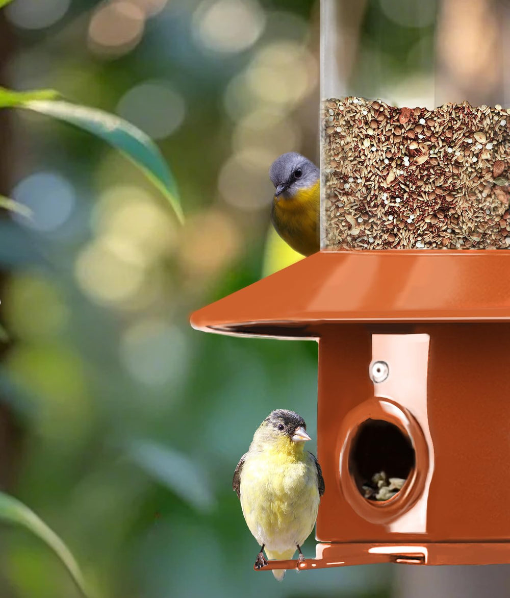 LYKENTOR large-capacity feeder with 4.8-lb capacity reduces daily refills.