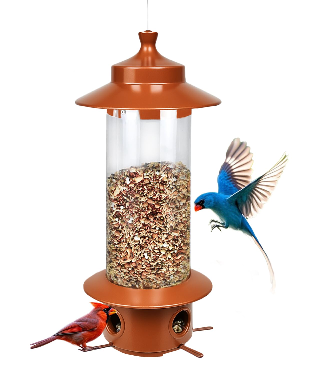 LYKENTOR squirrel-proof feeder hanging outdoors deters squirrels while letting small birds feed.