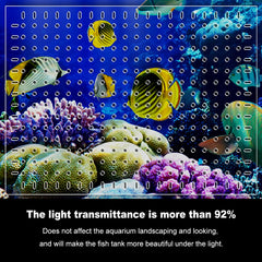 LYL LEYOULAND transparent acrylic close-up demonstrates high light transmission.