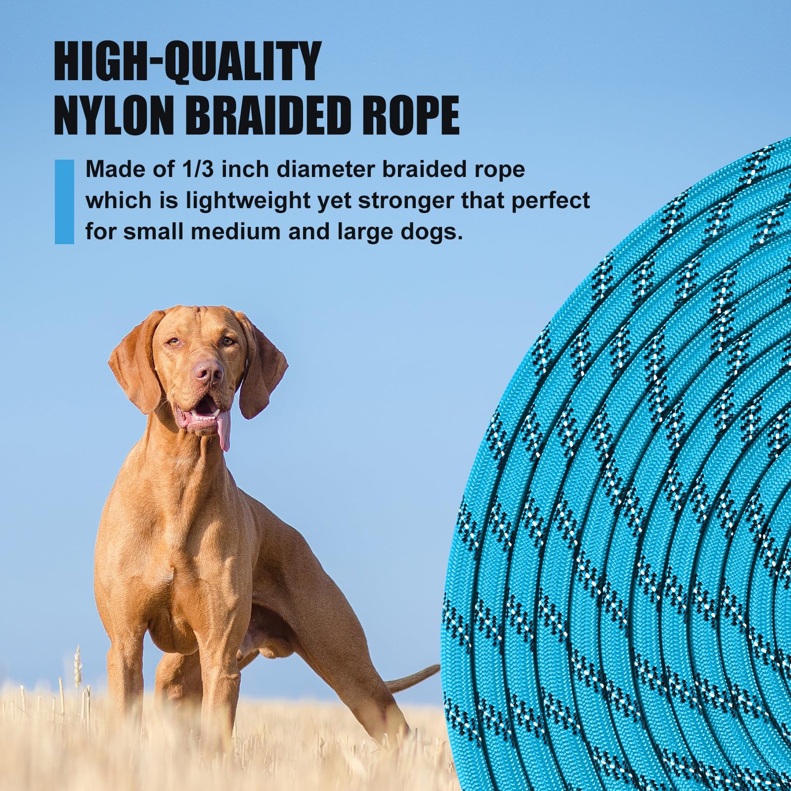 Lynxking leash shown at 50ft length for versatile training sessions.
