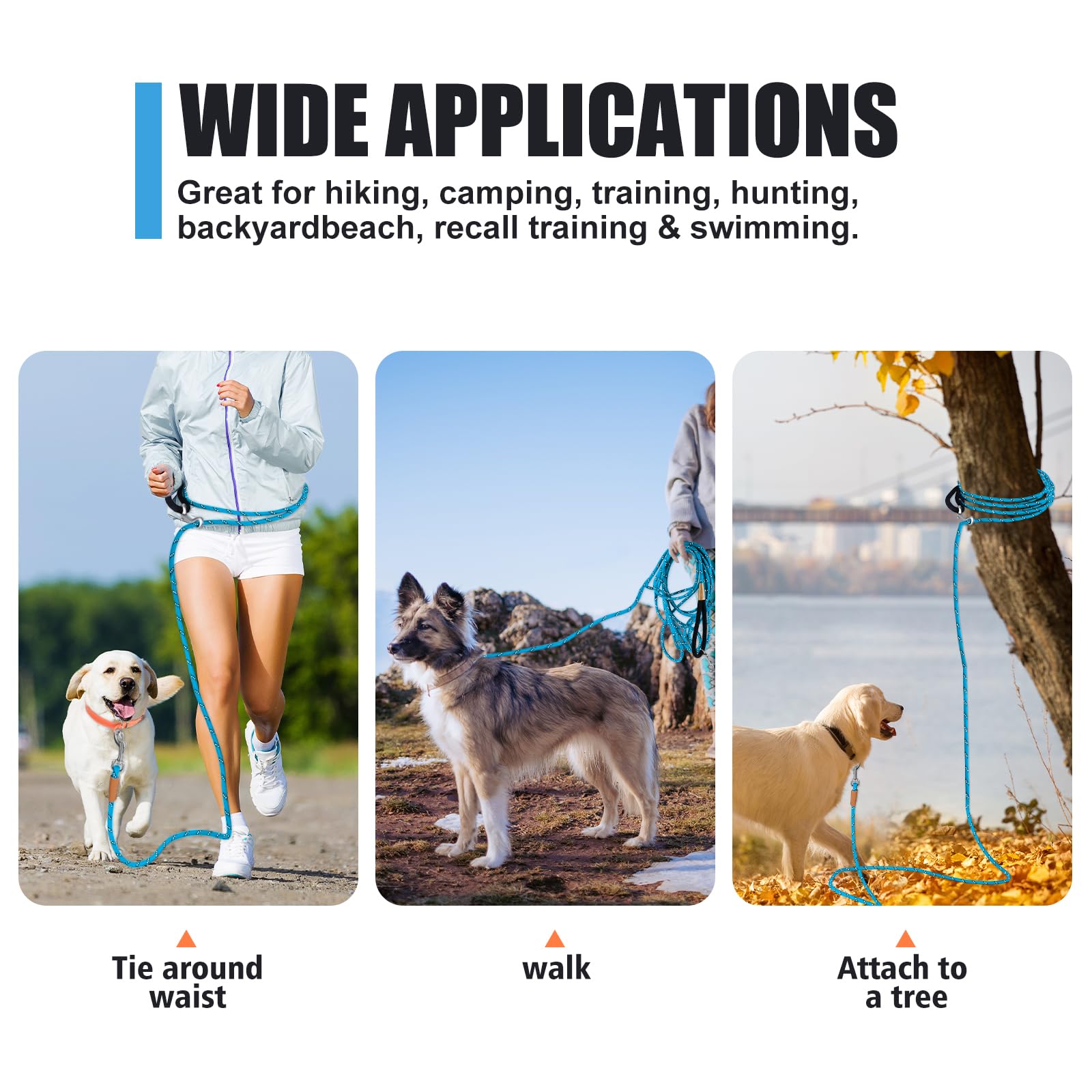 Lynxking light blue leash improves visibility during daytime walks.