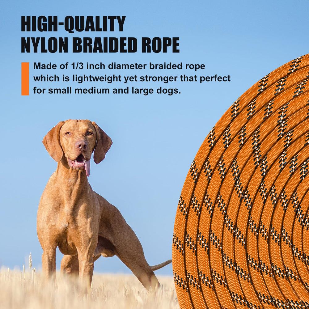 Lynxking long leash ready for outdoor training and recall.