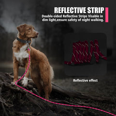 Lynxking padded-handle leash offers comfortable grip during long walks and training sessions.