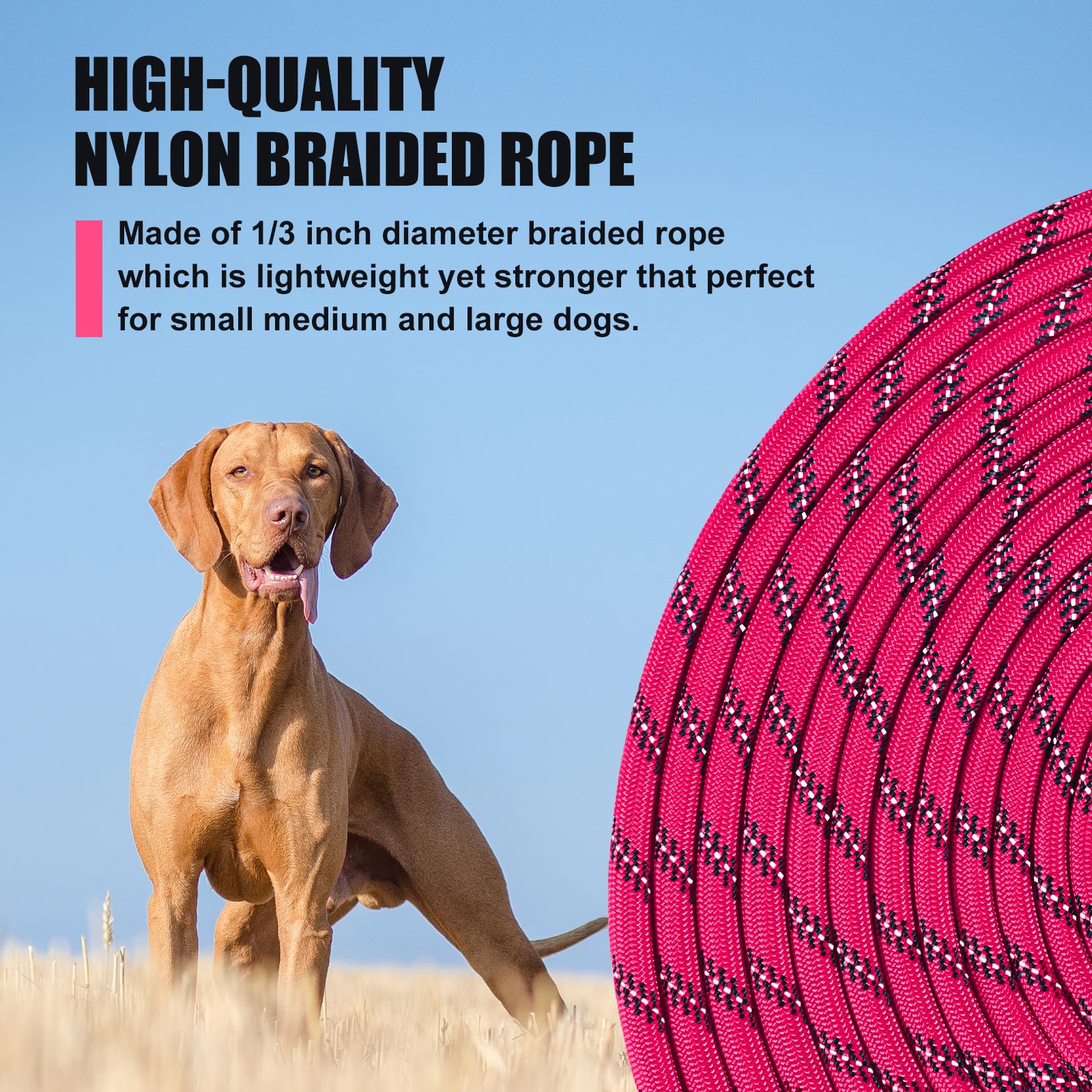 Lynxking reflective leash enhances visibility for safer night walks and jogging.