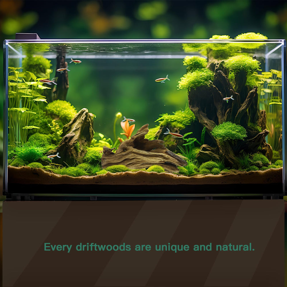 LYPHARD AQUARIUMS driftwood 6-10inch pieces shown for versatile layouts