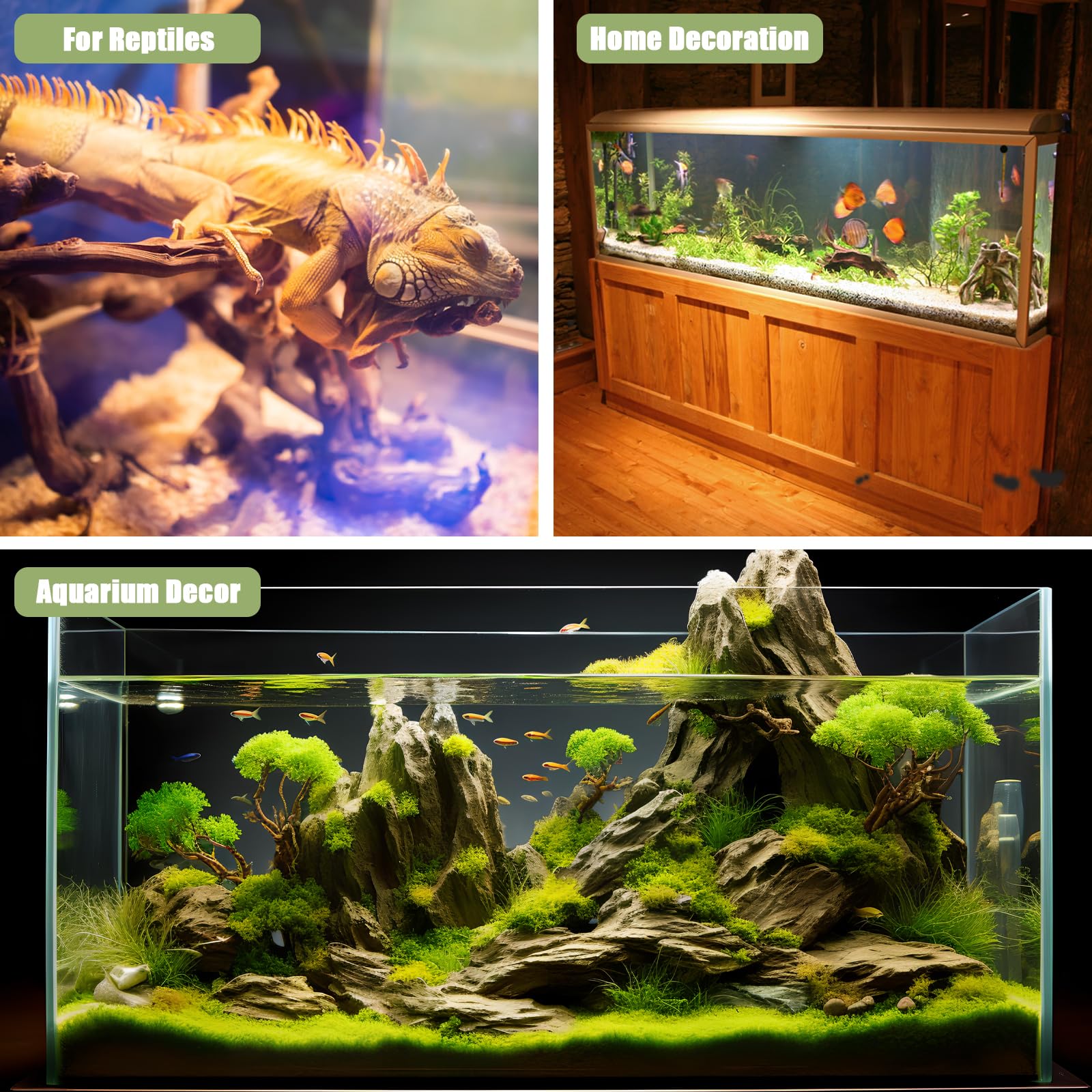 LYPHARD AQUARIUMS driftwood hiding place provides cover for fish and shrimp
