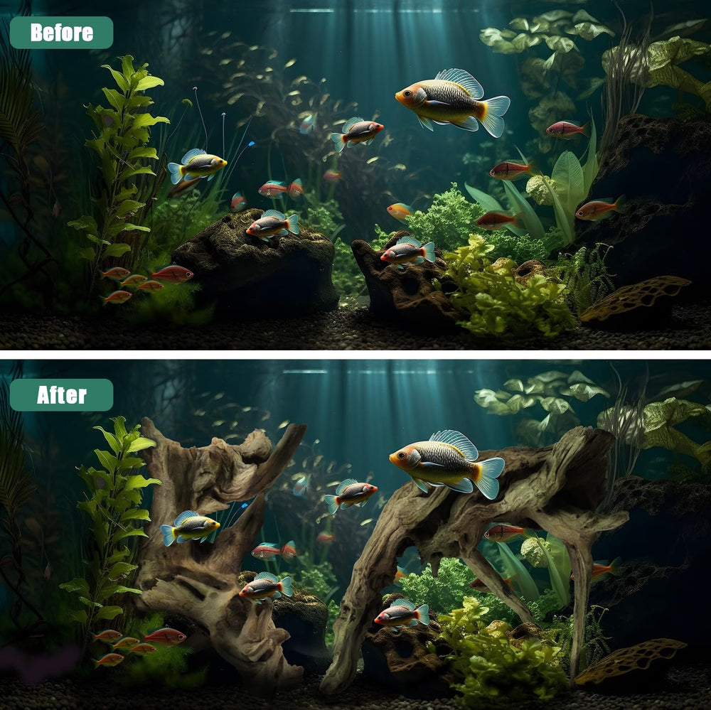 LYPHARD AQUARIUMS driftwood in-tank setup demonstrates natural shelter.