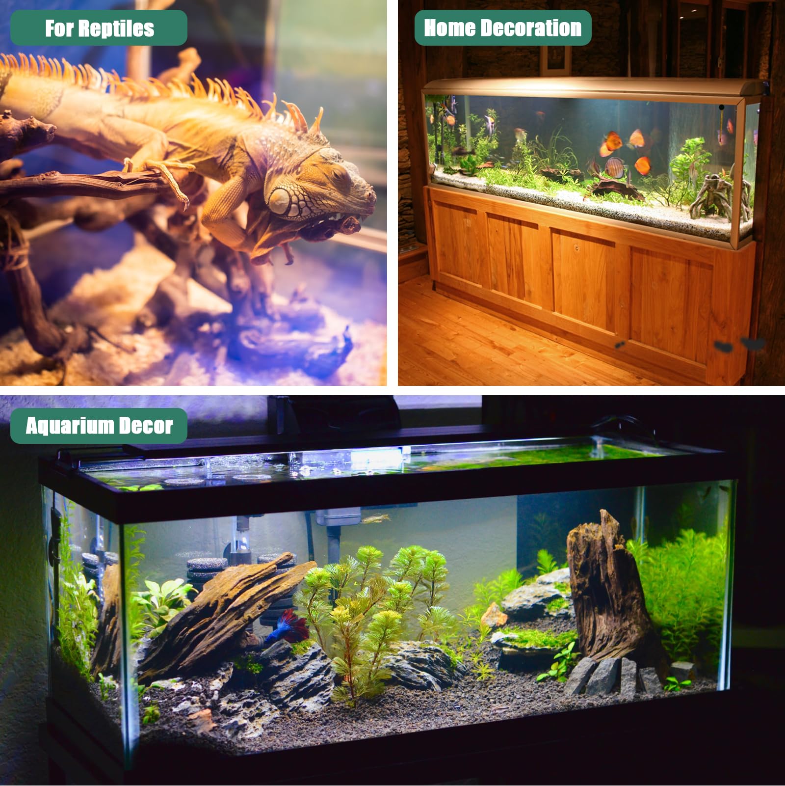 LYPHARD AQUARIUMS large driftwood branch decor for fish tanks.