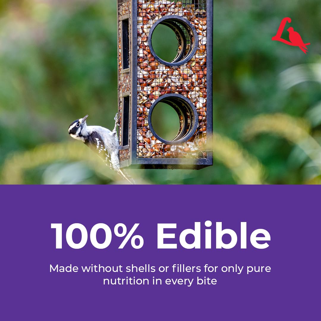 Lyric Delite no-waste seed reduces ground litter under feeders