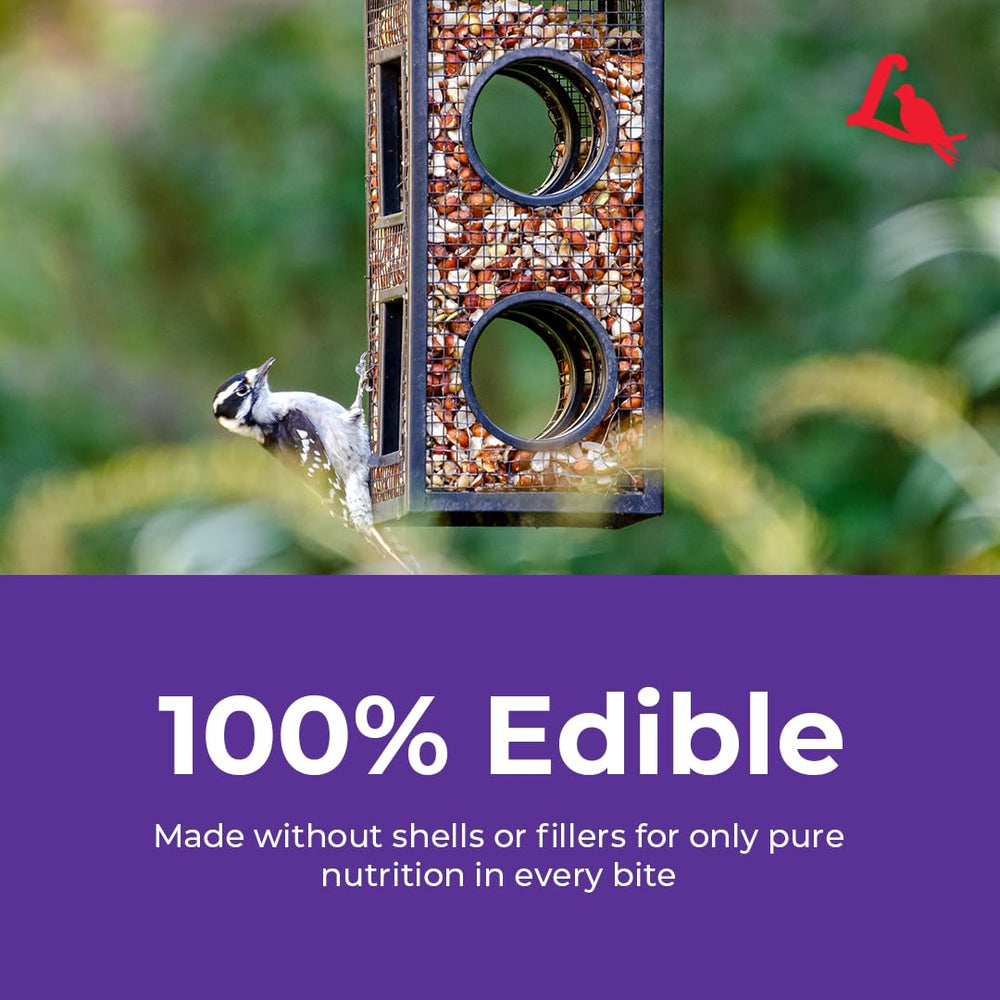 Lyric Delite no-waste seed reduces ground litter under feeders