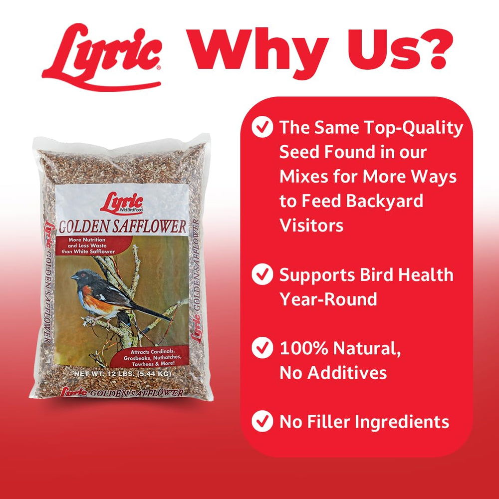 Lyric Golden Safflower seed entices chickadees to backyard feeders.
