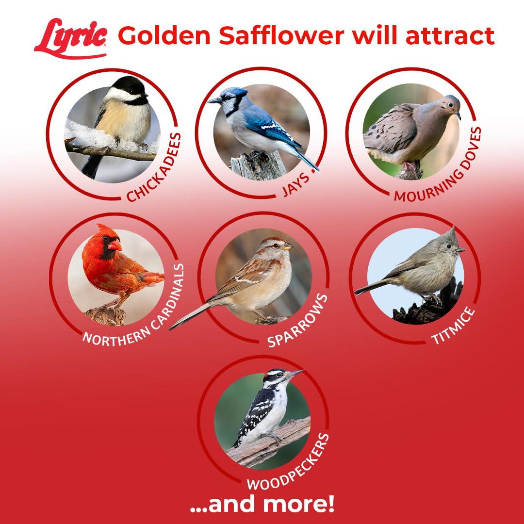 Lyric Golden Safflower seed is less appealing to squirrels at feeders.