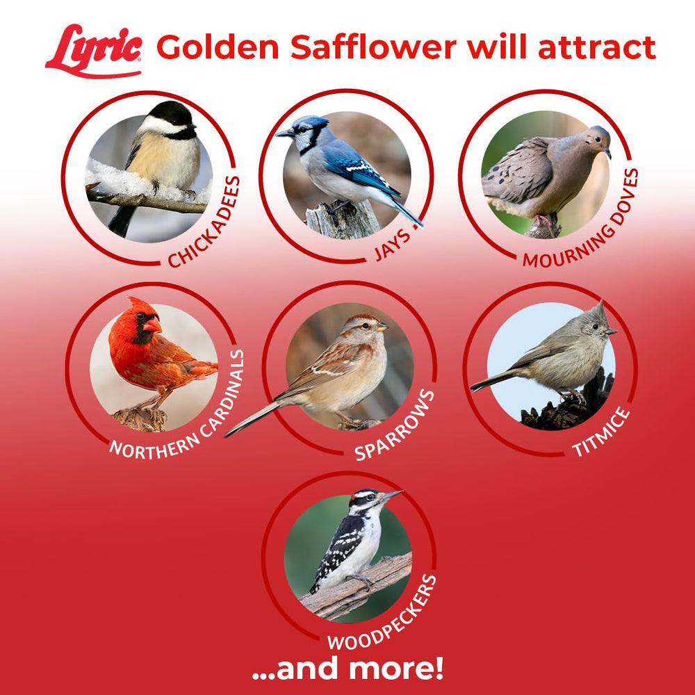 Lyric Golden Safflower seed is less appealing to squirrels at feeders.