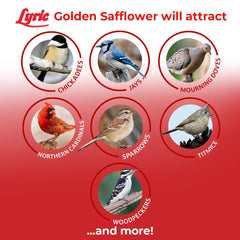Lyric Golden Safflower seed is less appealing to squirrels at feeders.