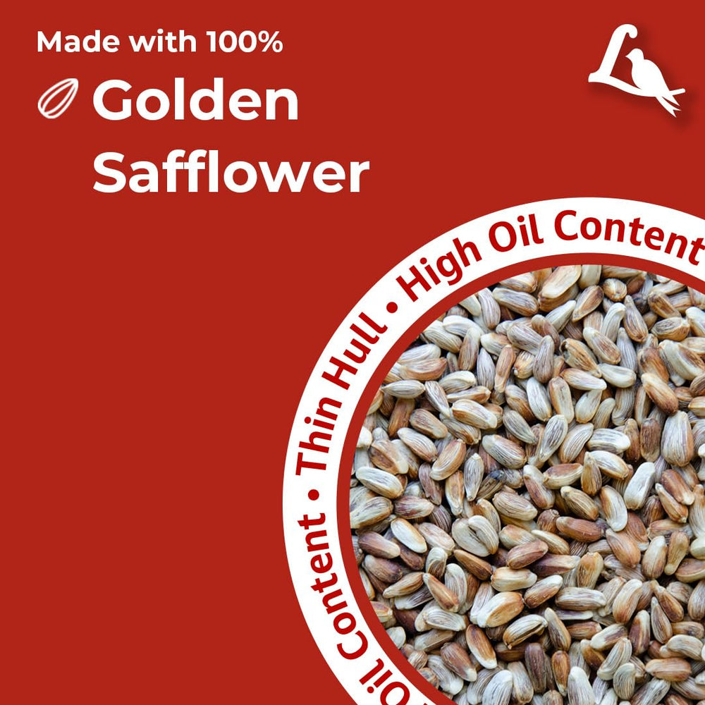 Lyric Golden Safflower seed draws woodpeckers to your feeder.