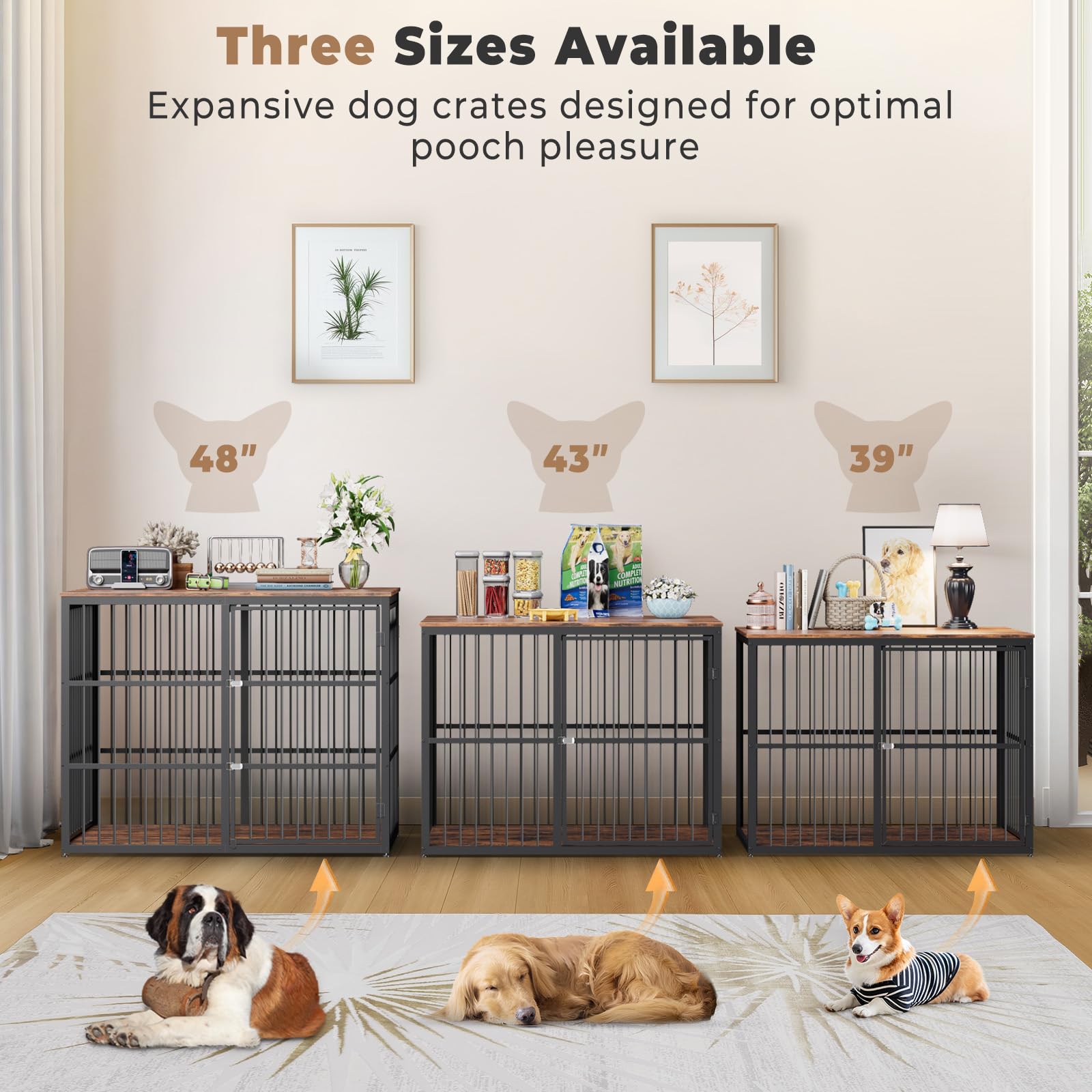 Lyromix dimensions 47.24W x 29.13D x 37.6H for a spacious habitat