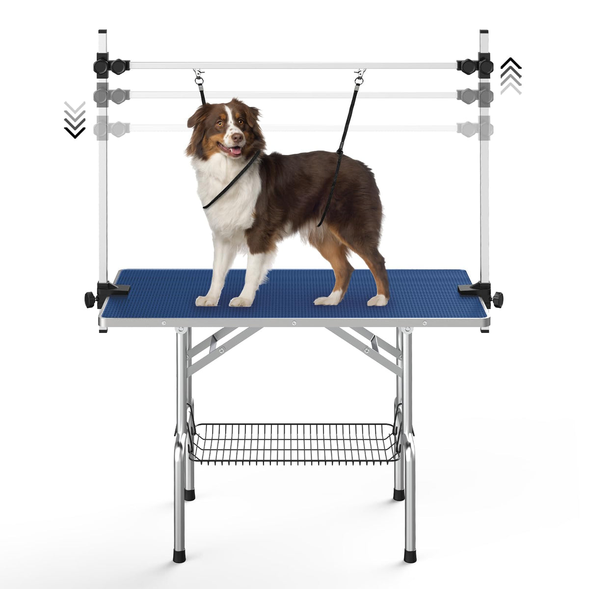 Lyromix dog grooming table adjustable arm for safe, versatile grooming at home