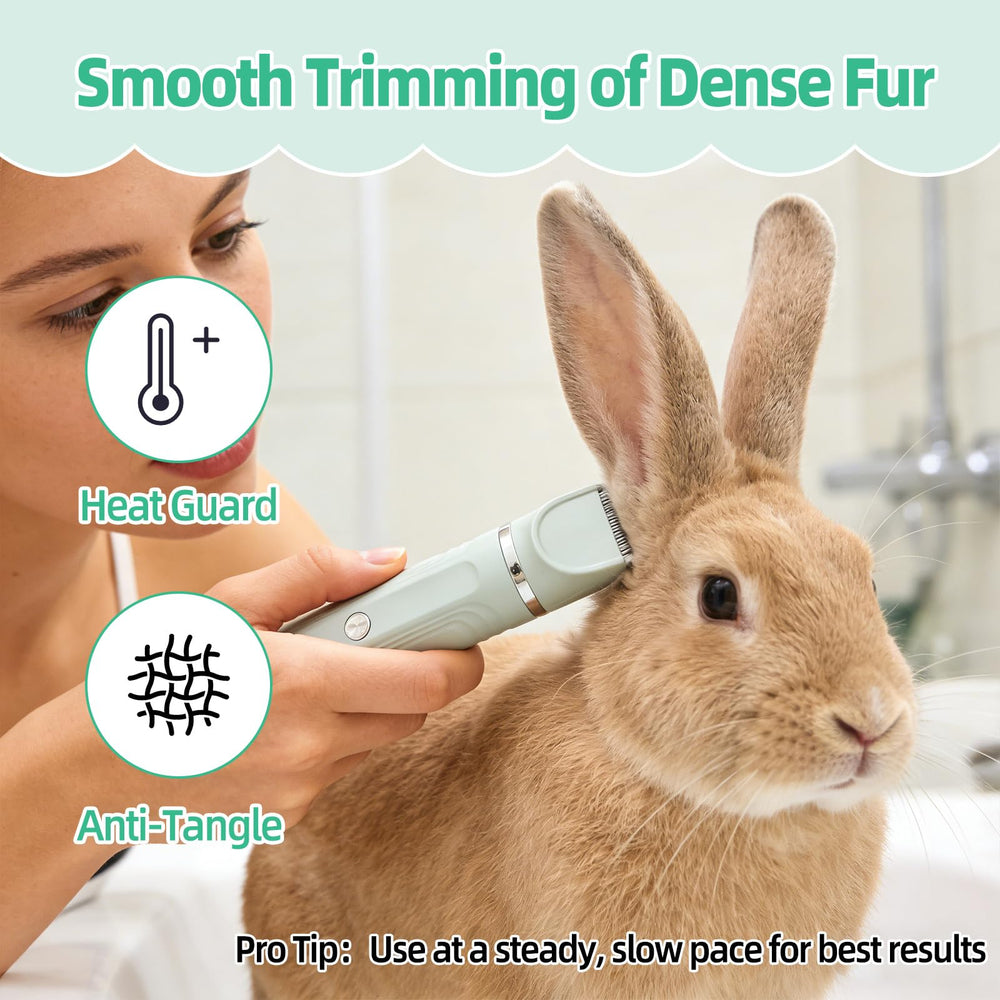 Lyrzzey grooming kit nail grinder closeup showing precision care for tiny claws.