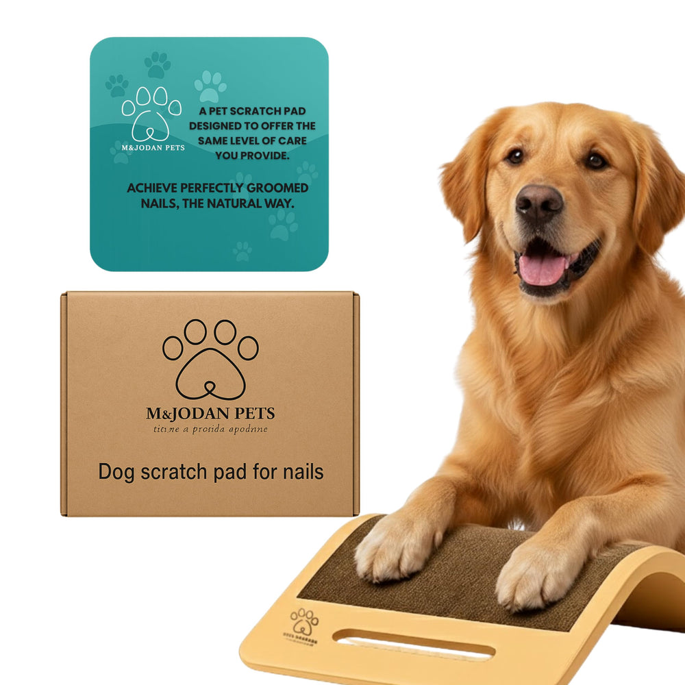 M&JODAN PETS dog scratch board usage scene for calmer nail care at home.