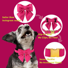 Bow detail on the M MACA BATES collar adds camera-ready charm.