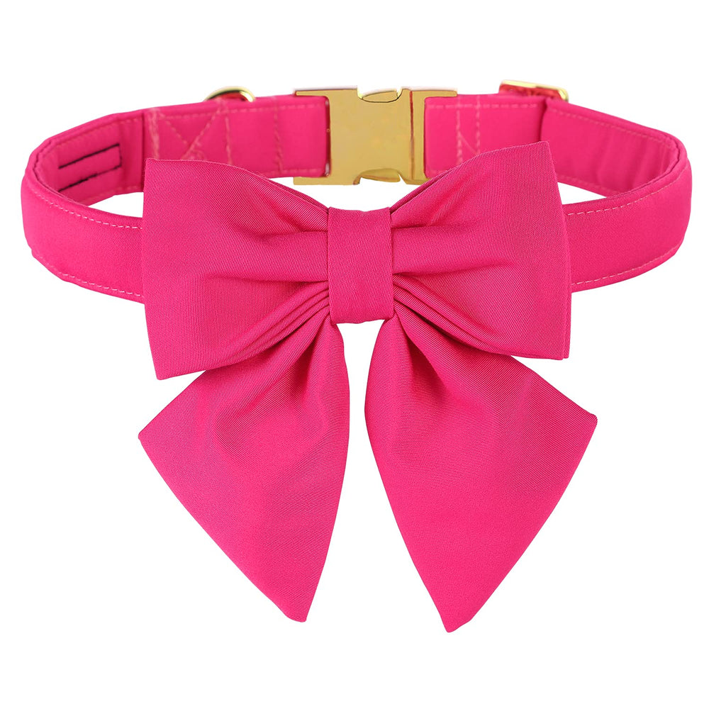 M MACA BATES hot pink dog collar with rose bow for everyday adventures.