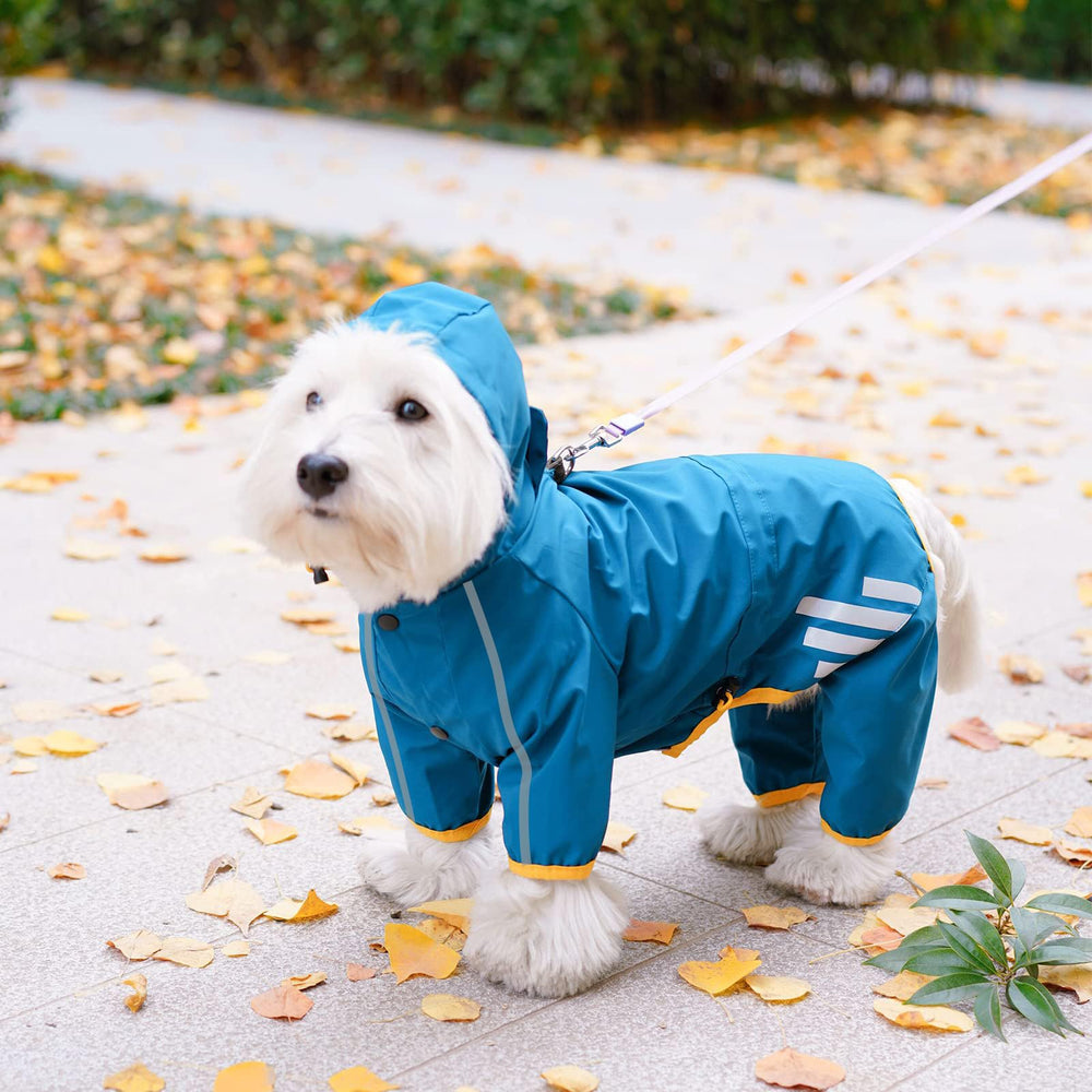 Mabawa raincoat back with leash port for easy rainy day control.