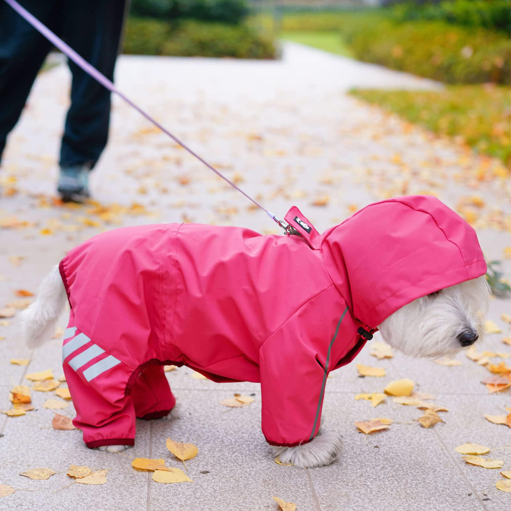 Mabawa hidden traction mouth opening simplifies on-the-go leash attachment.
