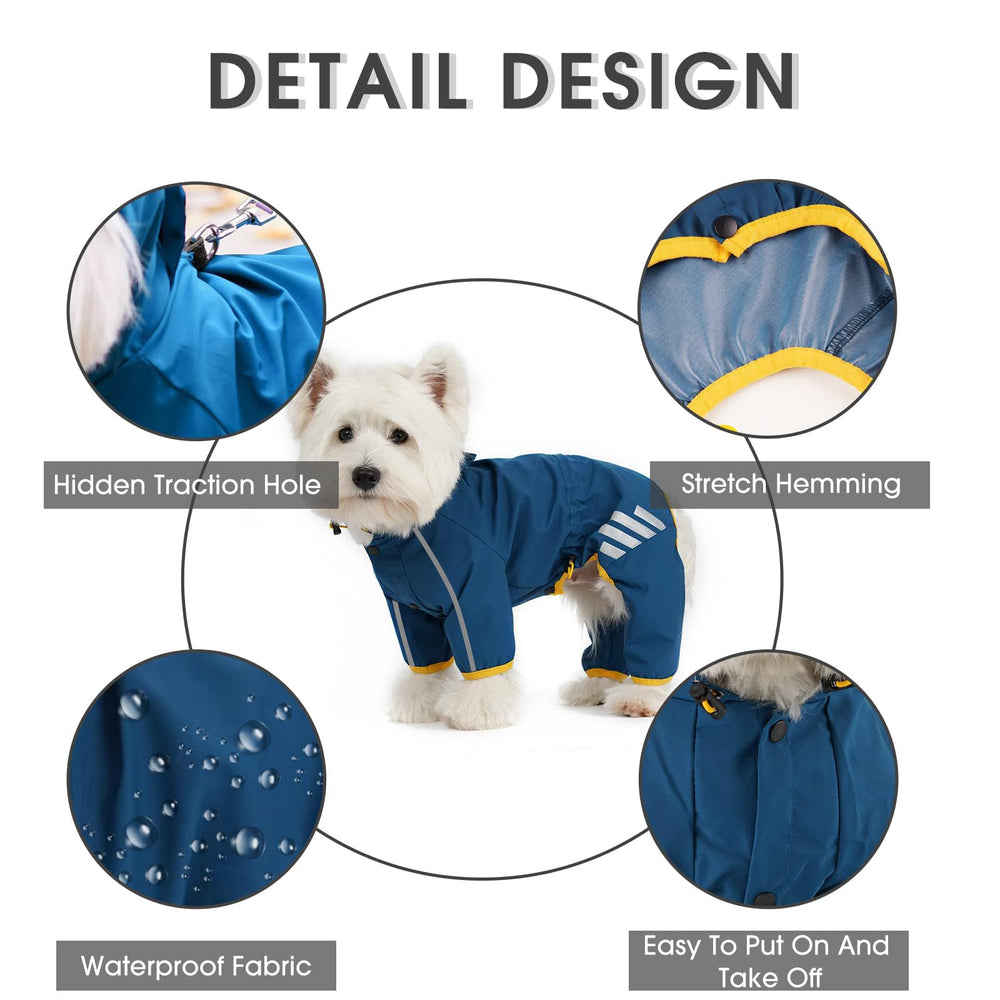 Mabawa lightweight and breathable dog raincoat on a calm day.