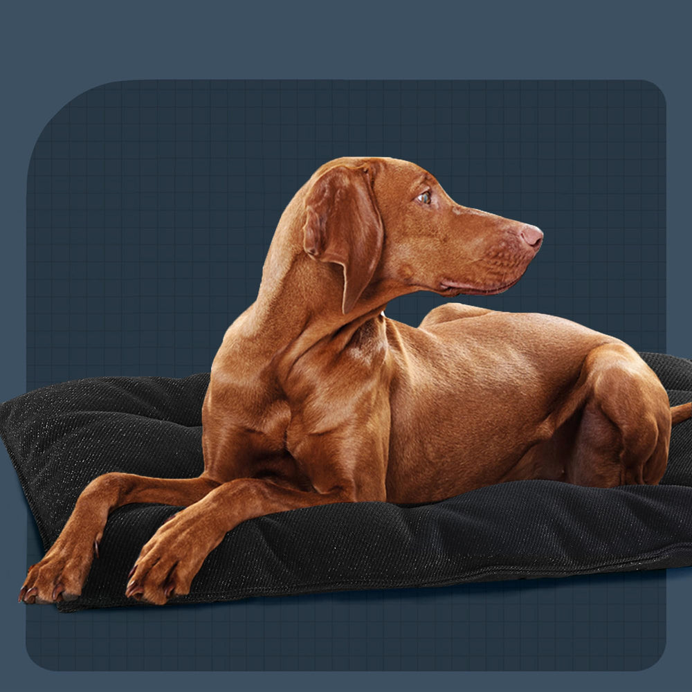 MABOZOO chew-proof fabric texture highlights durability against chewing and digging.