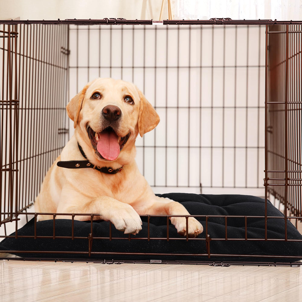 MABOZOO dog bed training pads usage demonstrates easy cleanup.