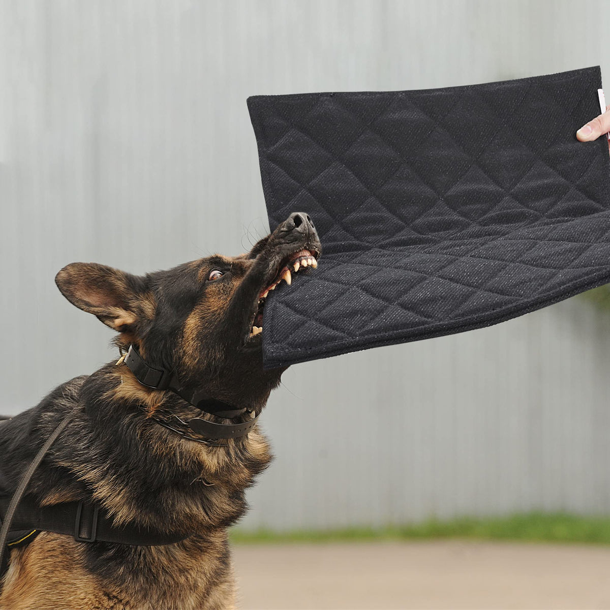 MABOZOO indestructible dog bed 22x35 showcases chew-proof durability for tough chewers.