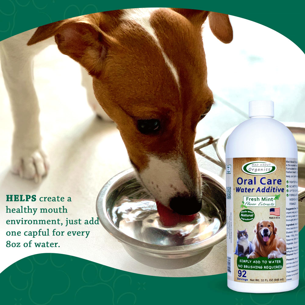 Mad About Organics no-foaming formula blends into the pet water smoothly.